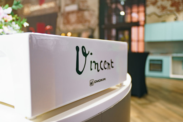 Мойка Omoikiri MIKURA 76-VANGOGH